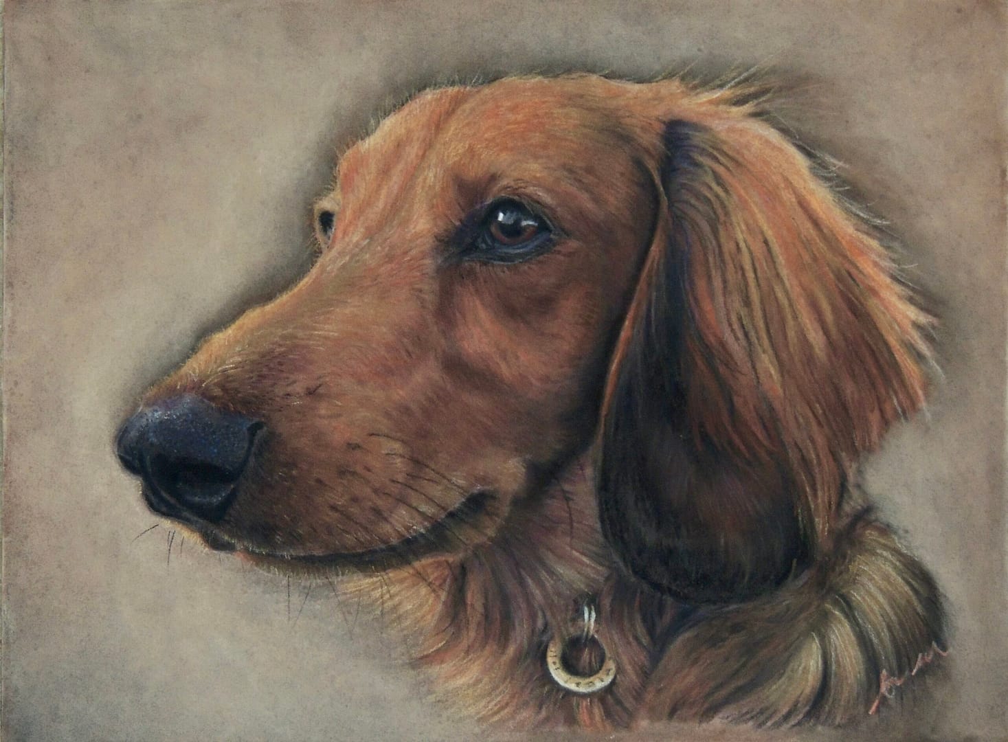 Angus painting ©alisonfield