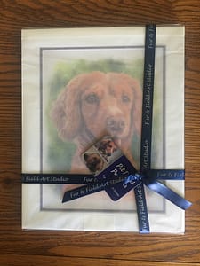 packaged presentation example ©alisonfield