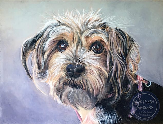 Myrtle terrier painting