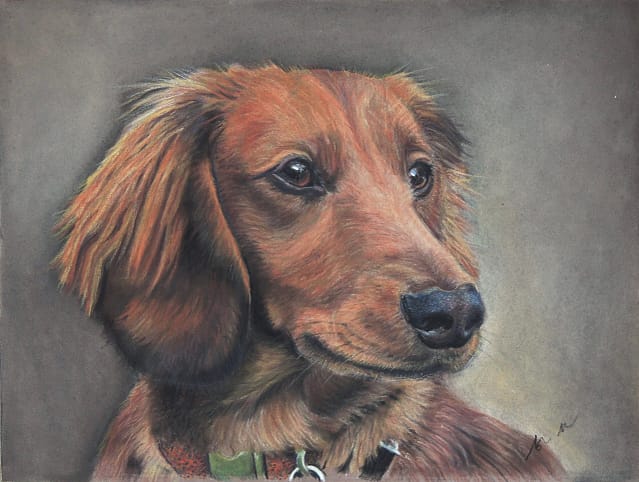Bonnie dachshund painting ©alisonfield
