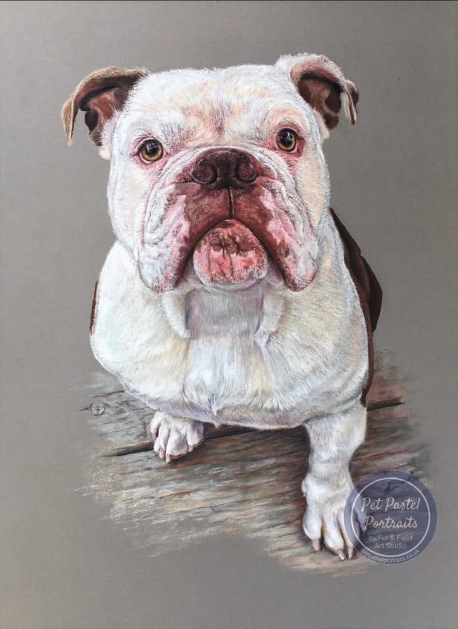 Yoda bulldog painting ©alisonfield