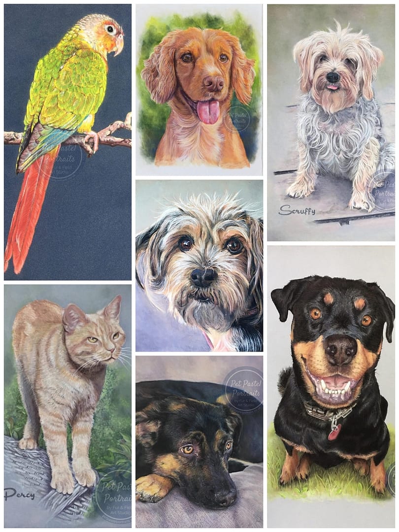 Collage Pet Pastel Portraits copyright Alison Field 2023