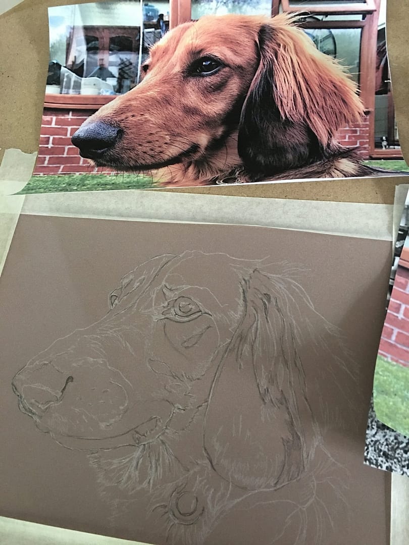 painting in progress ©alisonfield